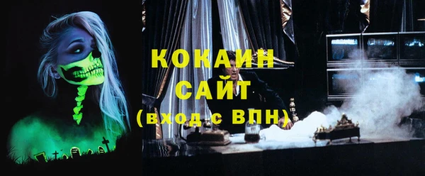 прущие грибы Белокуриха