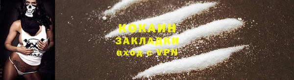 прущие грибы Белокуриха