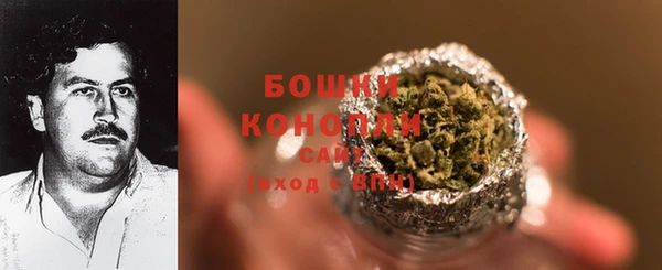 прущие грибы Белокуриха