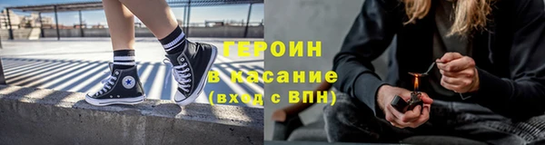 прущие грибы Белокуриха