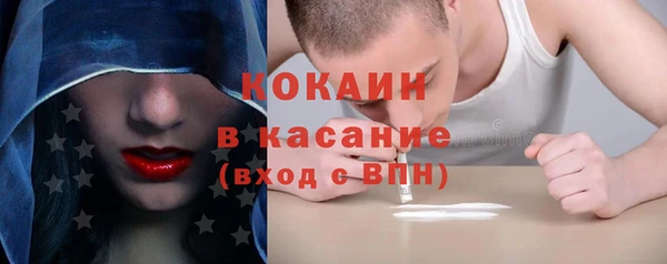 прущие грибы Белокуриха