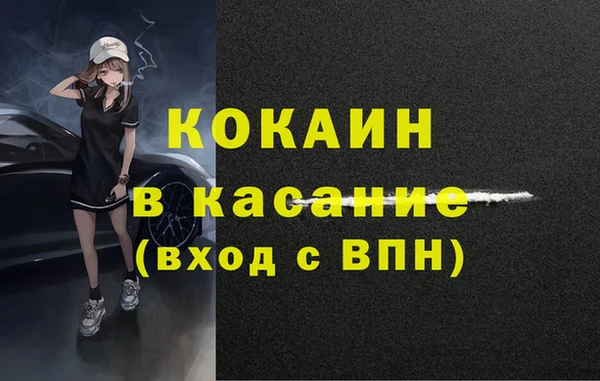прущие грибы Белокуриха