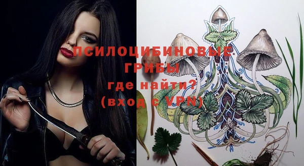 прущие грибы Белокуриха
