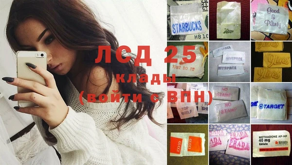 прущие грибы Белокуриха