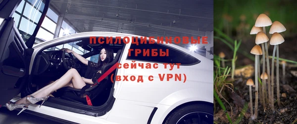 спиды Беломорск