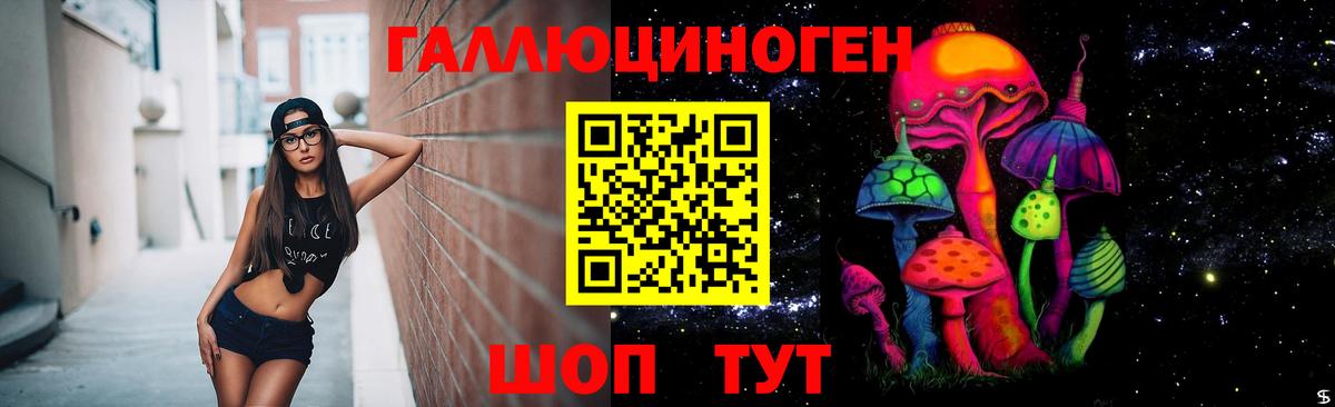 Псилоцибиновые грибы прущие грибы Горячий Ключ